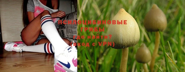гидра Бородино