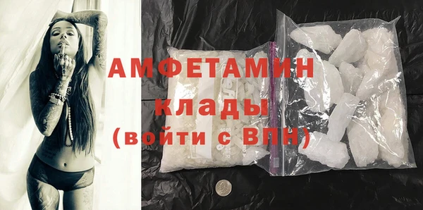 гидра Бородино