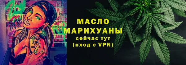 гидра Бородино