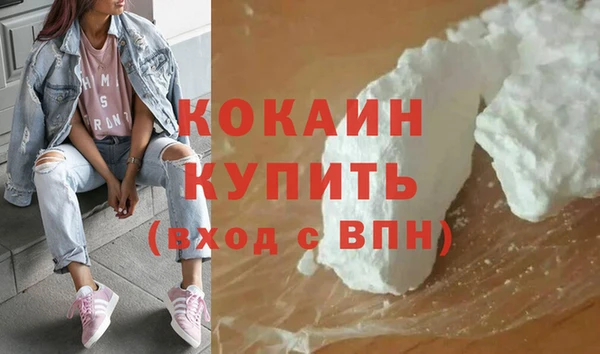 гидра Бородино