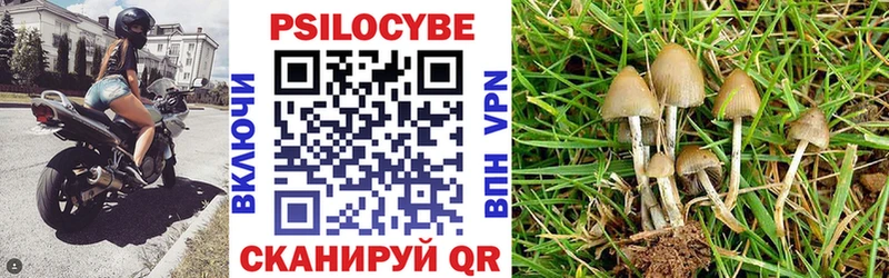 МЕГА как зайти  закладка  Ленинградская  Псилоцибиновые грибы Magic Shrooms 